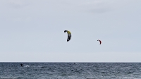 Filename=0037.jpg
Filesize=118KiB
Dimensions=1000x561
Date added=Mar 10, 2012 0037.jpg