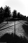 Filename=div0004.jpg
Filesize=185KiB
Dimensions=533x800
Date added=Oct 12, 2010 div0004.jpg