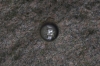 Filename=diverse0014.jpg
Filesize=261KiB
Dimensions=1000x666
Date added=Sep 02, 2009 diverse0014.jpg