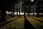 parken0007.jpg