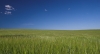 natur_2.jpg